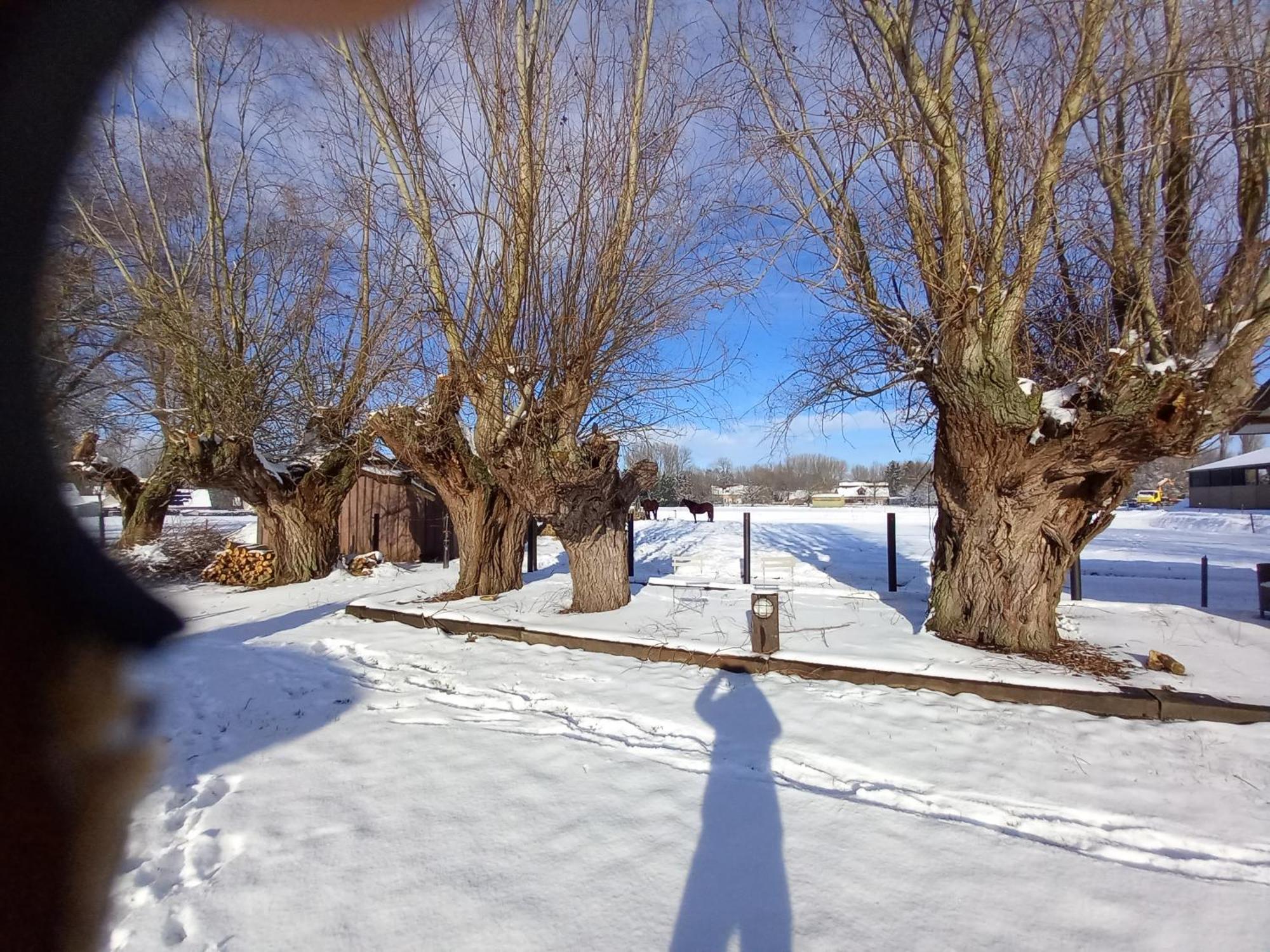 Camping Des Saules Jurbise Exterior photo
