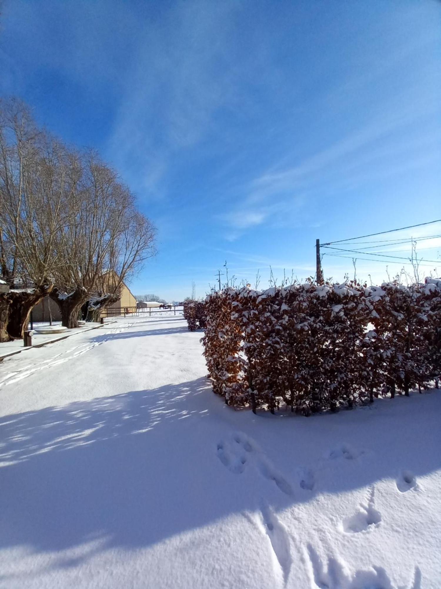 Camping Des Saules Jurbise Exterior photo